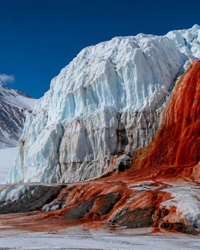Cataratas de Sangre: agua roja saliendo de un glaciar antartico sobre nieve blanca